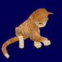 mandarynka_kot.png