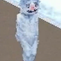 yeti_joaska.png